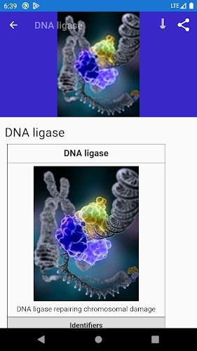 Molecular biology Zrzut ekranu 2