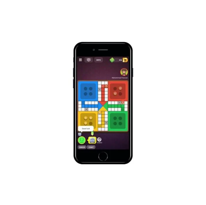 Ace Zain Ludo Ảnh chụp màn hình 1