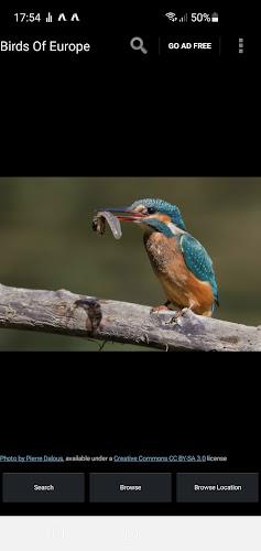 Birds Of Europe Guide Captura de pantalla 0