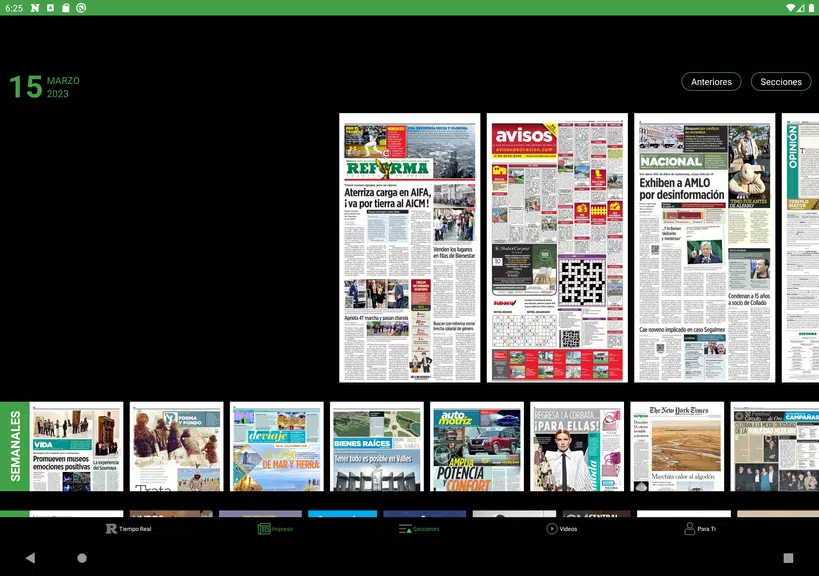 REFORMA Captura de tela 1