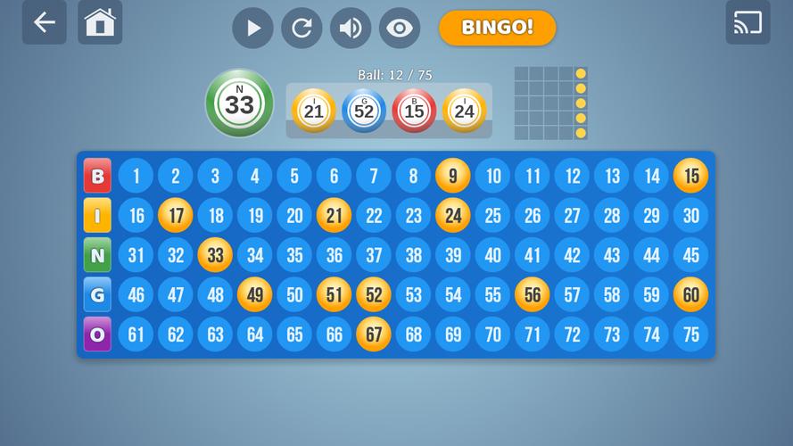 Bingo Set 스크린샷 3