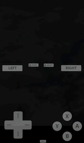 Fast DS Emulator - For Android Captura de pantalla 1
